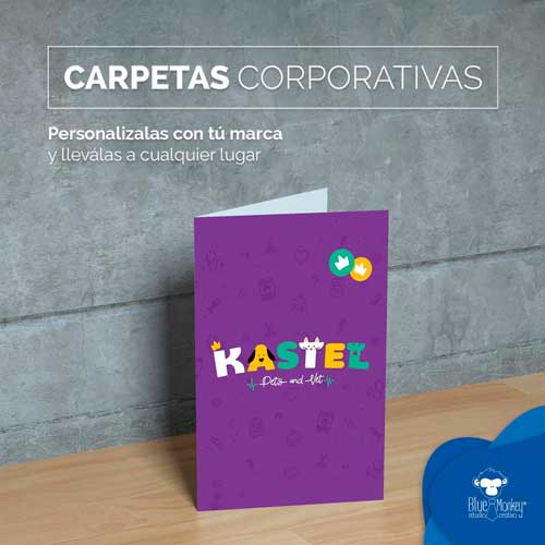 Carpetas, Carpetas corporativas