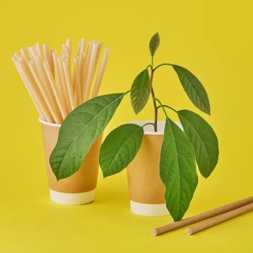Pitillos Ecologicos