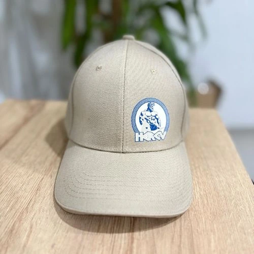 Gorras con estampado DTF